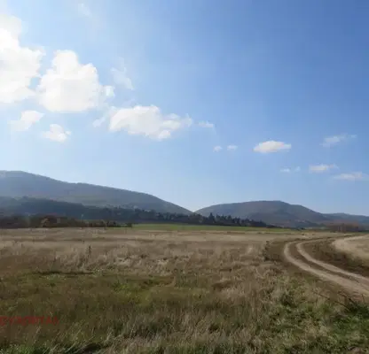 Photo 5 — Plot in Malo Buchino