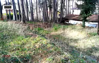 Парцел в Банкя
