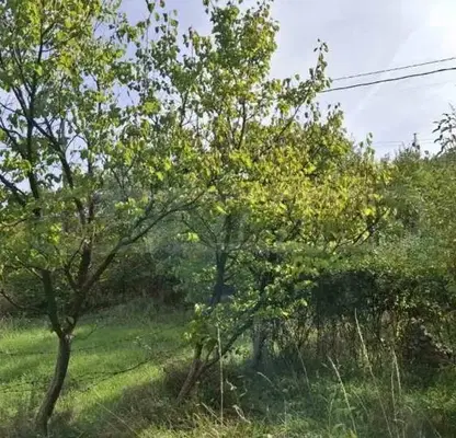 Photo 2 — Plot in Pernik, Bela Voda
