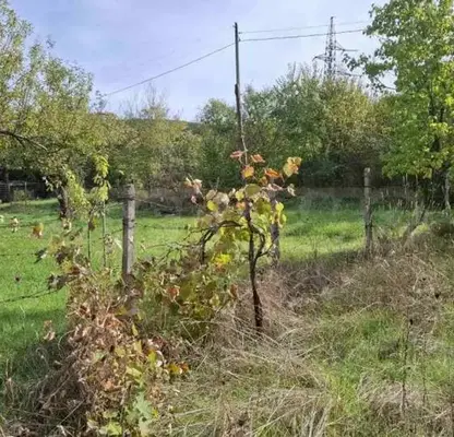Photo 3 — Plot in Pernik, Bela Voda