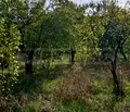 Снимка 4 — Парцел в Перник, Бела вода