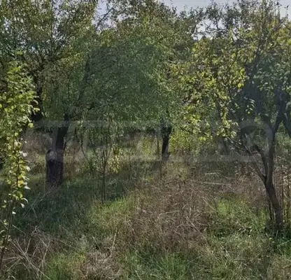 Photo 4 — Plot in Pernik, Bela Voda