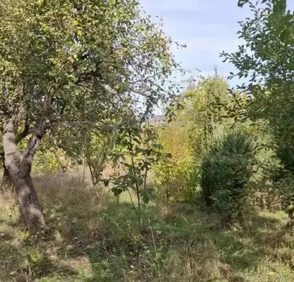 Photo 5 — Plot in Pernik, Bela Voda