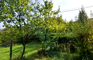 Парцел в Перник, Бела вода