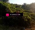 Снимка 2 — Парцел в Русе, Чародейка - Юг