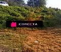 Снимка 4 — Парцел в Русе, Чародейка - Юг