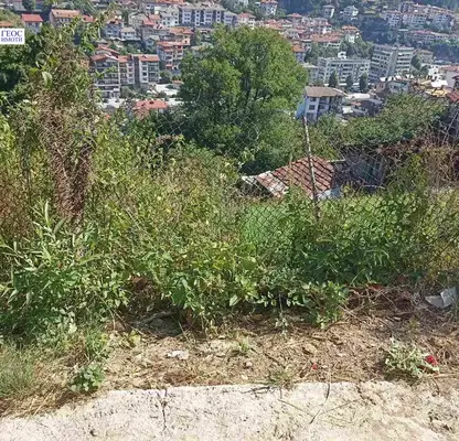 Снимка 3 — Парцел в Смолян, Долно Райково
