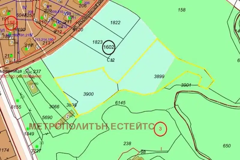 Парцел в София, Дървеница