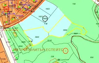 Парцел в София, Дървеница