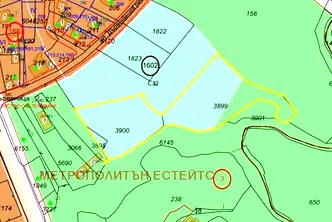 Парцел в София, Дървеница