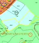Парцел в София, Дървеница
