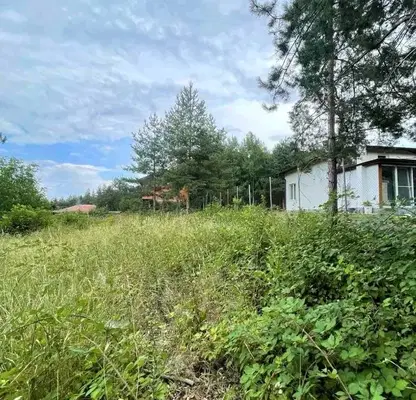 Снимка 4 — Парцел в Кюстендил, Колуша