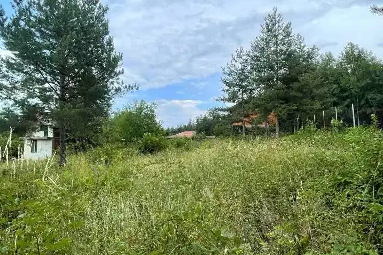 Парцел в Кюстендил, Колуша