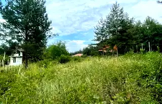 Парцел в Кюстендил, Колуша
