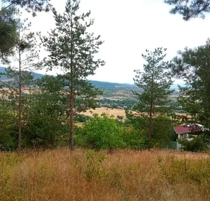 Photo 4 — Plot in Kyustendil, Kolusha
