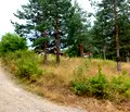 Снимка 5 — Парцел в Кюстендил, Колуша