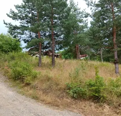 Photo 5 — Plot in Kyustendil, Kolusha