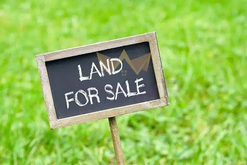 Plot in Varna, Alen Mak