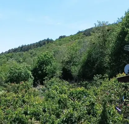 Photo 2 — Plot in Varna, Gorna Traka