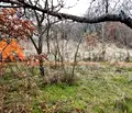 Снимка 2 — Парцел във Варна, м-т Ракитника