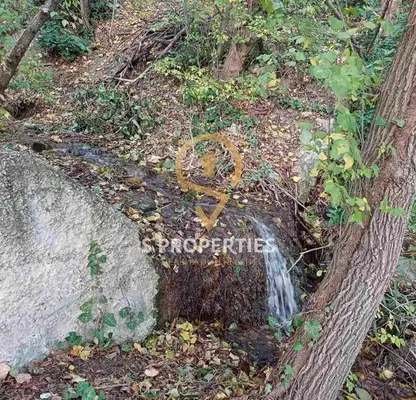 Photo 2 — Plot in Varna, м-т Салтанат