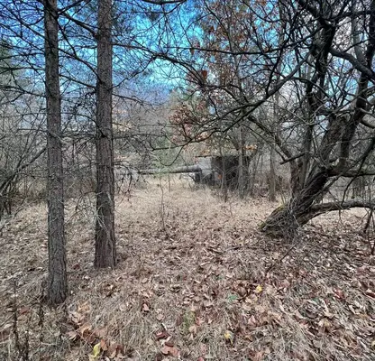 Photo 4 — Plot in Sofiya, Shtyrkelovo Gnezdo