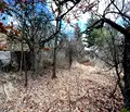 Снимка 5 — Парцел в София, м-т Щъркелово гнездо