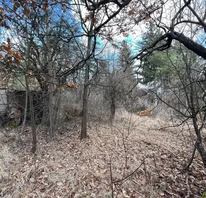 Photo 5 — Plot in Sofiya, Shtyrkelovo Gnezdo