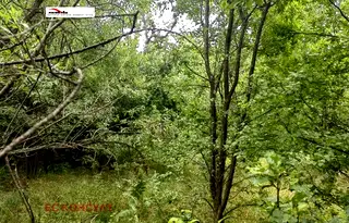Парцел в София, Малинова долина