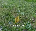 Снимка 2 — Парцел в Шумен, Мътница