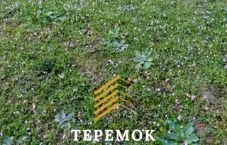 Парцел в Шумен, Мътница