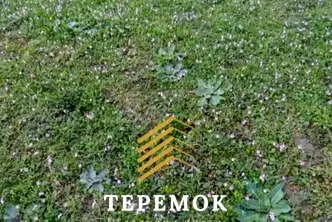 Парцел в Шумен, Мътница