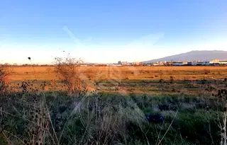 Парцел в София, Обеля