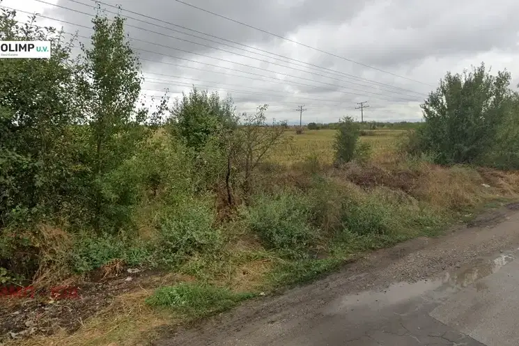 Plot in Sofiya, Pz Iliyanci