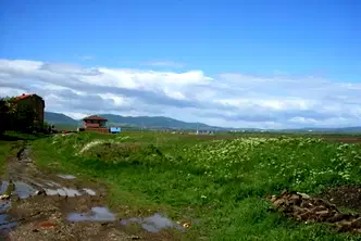 Парцел в София, Република