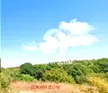 Снимка 3 — Парцел в Бургас, Ахтопол