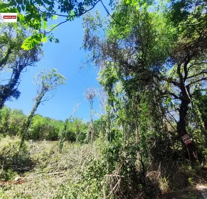 Photo 3 — Plot in Oblast Dobrich, Balchik