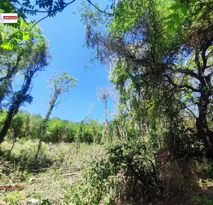 Photo 4 — Plot in Oblast Dobrich, Balchik