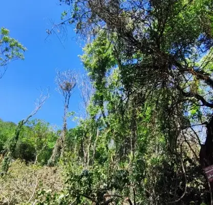 Photo 5 — Plot in Dobrich, Balchik