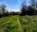 Снимка 3 — Парцел в Добрич, с. Поручик Чунчево
