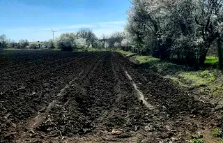 Парцел в Добрич, с. Поручик Чунчево