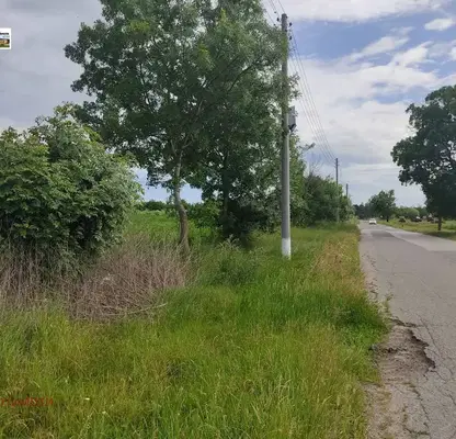 Photo 2 — Plot in Oblast Dobrich, Smolnica