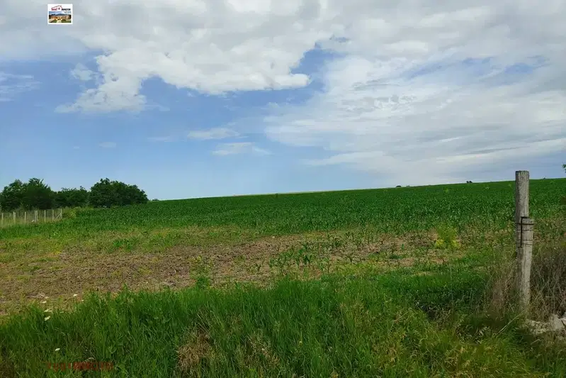 Plot in Oblast Dobrich, Smolnica