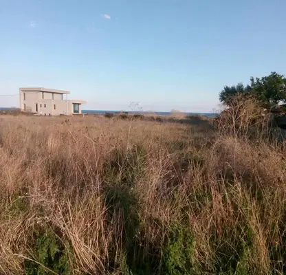 Photo 3 — Plot in Oblast Dobrich, Tyulenovo