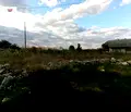 Снимка 4 — Парцел в Добрич, с. Тюленово