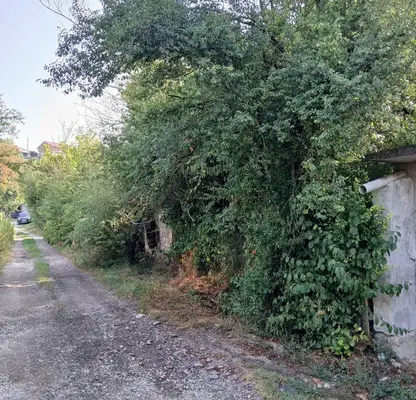 Photo 2 — Plot in Oblast Gabrovo, Sevlievo