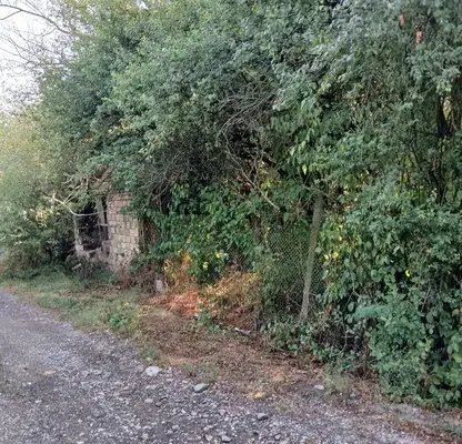 Photo 3 — Plot in Oblast Gabrovo, Sevlievo