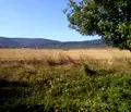 Снимка 3 — Парцел в Габрово, с. Ряховците