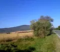 Снимка 4 — Парцел в Габрово, с. Ряховците