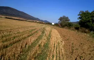 Парцел в Габрово, с. Ряховците